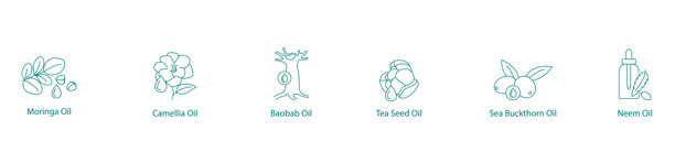 异国情调油的矢量图标集：莫林加油、山茶油、猴面包树油、茶籽油、沙棘油、印度楝油图片下载