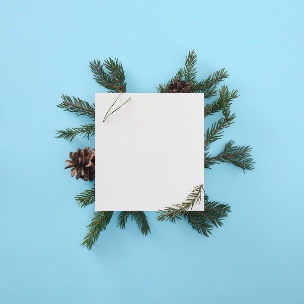 一张平铺的图片，中央是一张方形白卡，周围环绕着常青植物和松果。图片下载