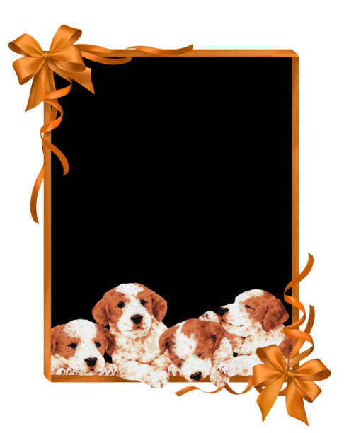 手绘可爱狗狗的留言板素材图片下载