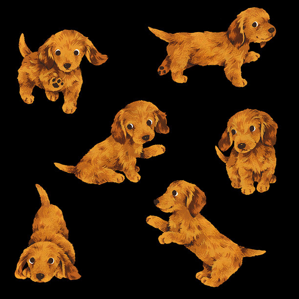 手绘可爱的狗狗插图素材图片下载