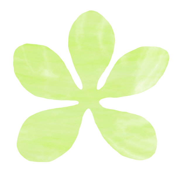 美丽的水彩花卉图案图片。图片下载