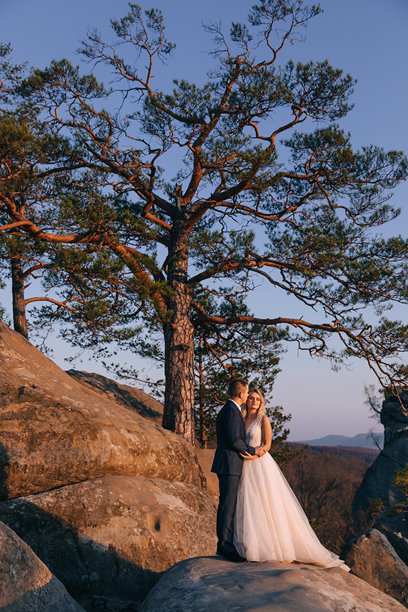 美丽的新婚夫妇在岩石和山脉的背景下拥抱。时尚的新娘和英俊的新郎站在岩石上。婚礼肖像。家庭照片。图片下载