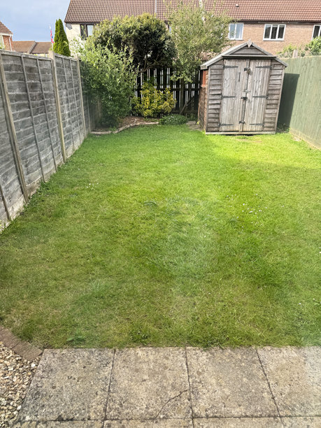 后花园的图片，带有露台、花园小屋和刚修剪好的草坪，整洁的户外空间展示了精心打理的花园。图片下载