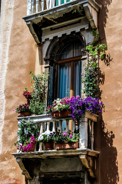 窗户与花朵，数字照片作为背景图片下载