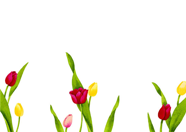 水彩插画郁金香贺卡图片下载