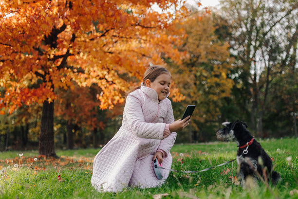 女孩在秋天的公园里用智能手机拍狗的照片图片下载