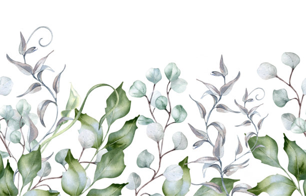 鼠尾草绿色的植物叶子水彩无缝边框，独立设计。柔和的绿色叶子、桉树枝、波浪状的藤蔓手绘。用于模板和横幅的植物绿意重复纹理。图片下载