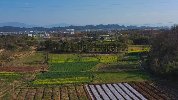 唐越纪念牌坊群，安徽省黄山市歙县，中国，亚洲。油菜花田，徽州风格建筑，中国建筑。图片下载
