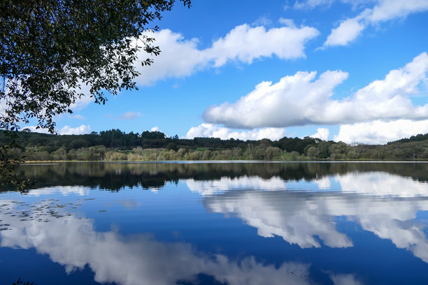 美丽的湖泊风景，水面上映出蓝天和白云的倒影。照片的角落里可以看到树枝。图片下载