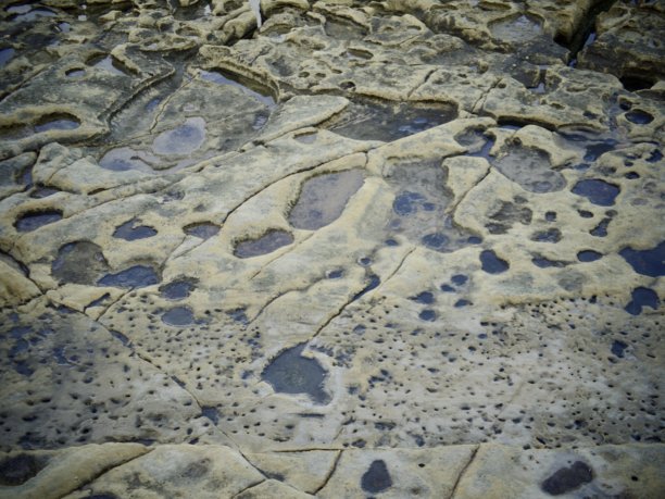 马耳他岩石海岸线的图片图片下载