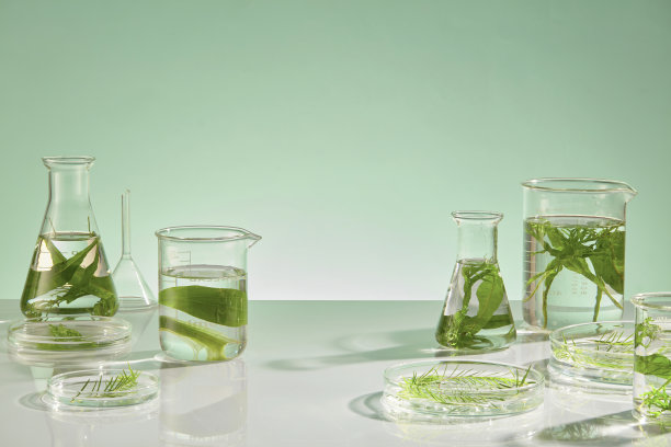 生物实验主题的宣传照片，包含漂浮在透明实验工具中的海藻，前景为绿色背景，留有文本空间。图片下载