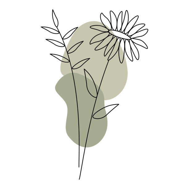 野生草药和花卉的矢量插图，背景有棕色和绿色的色块，黑白插图在白色背景上。图片下载