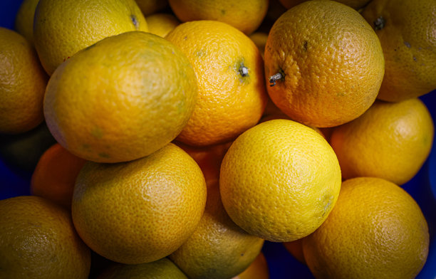 厨房桌子上的新鲜橘子概念照片图片下载