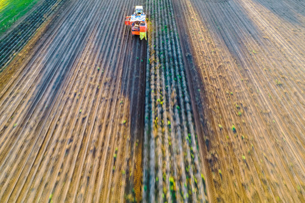 模糊的拖拉机收获土豆的照片，来自无人机的鸟瞰图。农业工作概念图片下载