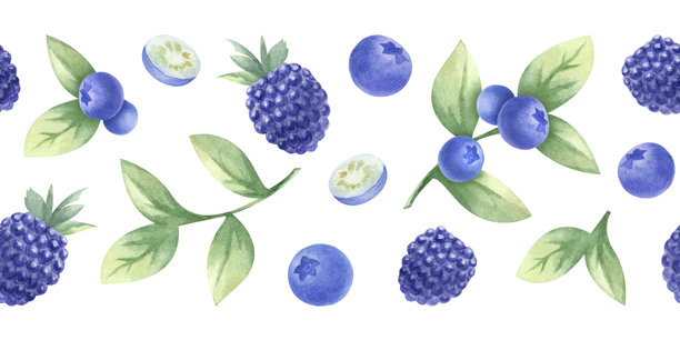蓝莓和黑莓水彩无缝边框。手绘的孤立插图，鲜美的野生浆果，越橘和露莓。适用于厨房纺织品、食品包装、健康食品和食谱的横幅。图片下载