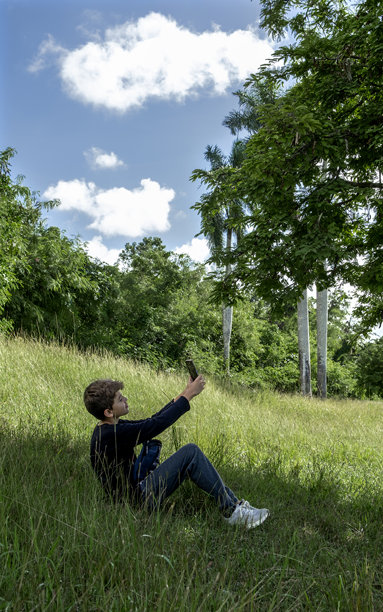 男孩在美丽的风景中走路时拍摄植物的照片图片下载