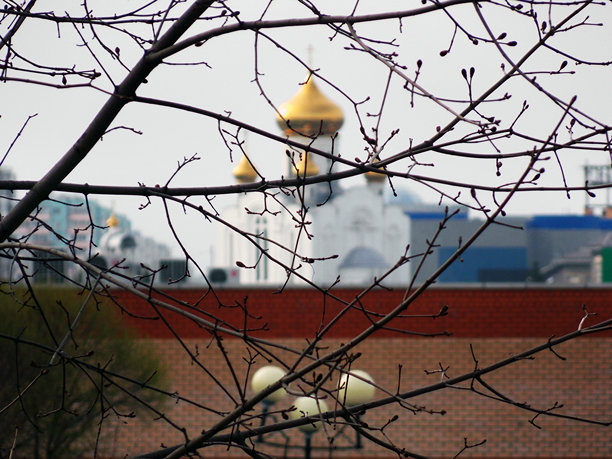 简单的照片图像。图片下载