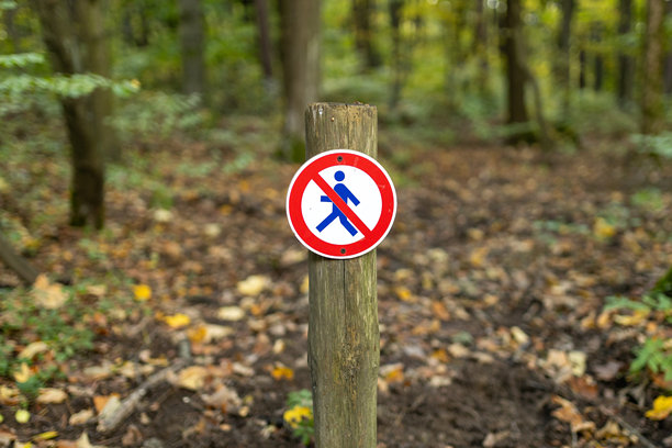 禁止进入森林的圆形标志。木桩上竖立着禁止行走的标志，背景为自然风光。高质量照片。图片下载