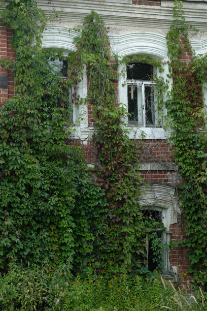 阿希特科沃村一栋房子的照片，红砖墙和白色窗框上爬满了郁郁葱葱的常春藤。图片下载