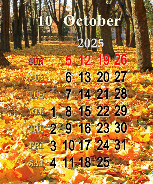 商务日历。2025年10月的日历，配有黄色树叶的树木图片图片下载