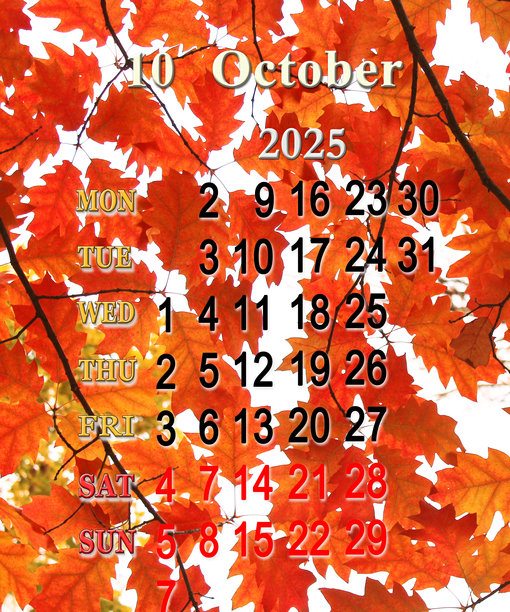 商务日历。2025年10月的日历配有红枫叶的照片图片下载