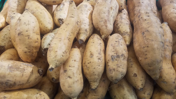 超市里出售的Cilembu甘薯（Ipomoea batatas）的特写照片图片下载
