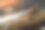 特写照片：一群红蚂蚁在木头上。图片下载
