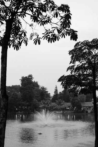 黑白照片展示了美丽的户外自然水景喷泉风景。图片下载
