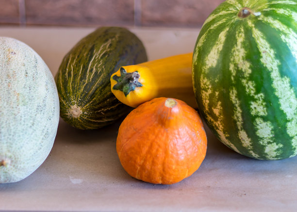 南瓜、 zucchini、西瓜和哈密瓜的图片，秋季丰收时节，适合素食菜肴，健康饮食的蔬菜，秋天图片下载