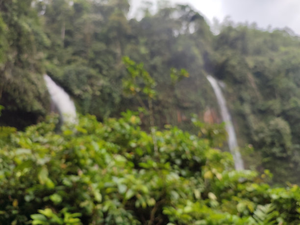 模糊的森林和瀑布照片，适合作为自然主题背景图片下载