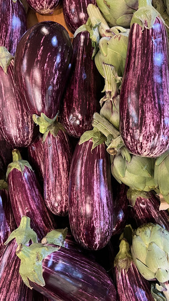 白色背景上的童话茄子优质照片图片下载