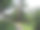公园里绿树成荫的小路照片图片下载