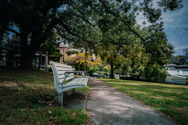 这张照片是在悉尼的街道上拍摄的，展现了盛开的紫葳花。图片下载