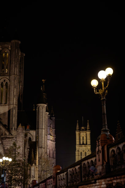 根特圣巴夫大教堂，比利时弗拉芒地区。夜景照片。图片下载