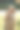年轻女性在公园散步时抱着小狗。高质量照片图片下载
