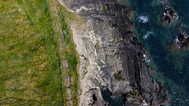 茂密的草丛。大西洋海岸上的草覆盖岩石。爱尔兰的自然，俯视图。航拍照片。图片下载