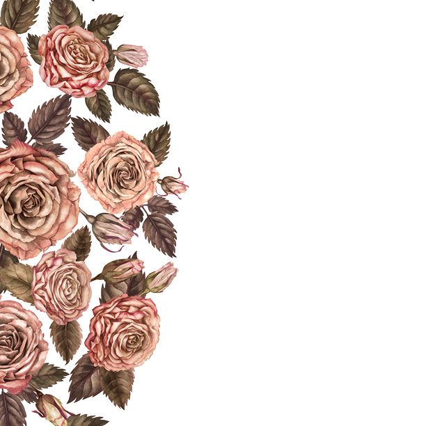 花卉背景上的边框剪切。粉棕色玫瑰。适用于婚礼、情人节、母亲节、照片、女性、贴纸和剪贴簿的植物横向模板。图片下载