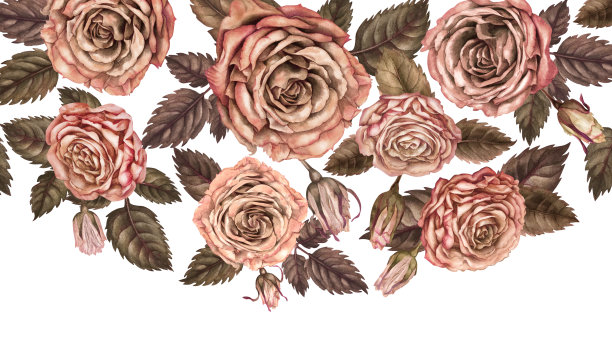 复古框架剪裁在花卉背景上。粉棕色玫瑰。适用于婚礼、情人节、母亲节、照片、女性、贴纸、剪贴簿的植物横向模板。图片下载