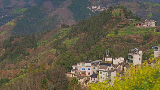 油菜花田，徽州风格建筑，中国安徽省，亚洲。图片下载