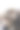 特写照片，狗狗露出震惊的表情。惊讶的家庭宠物。图片下载