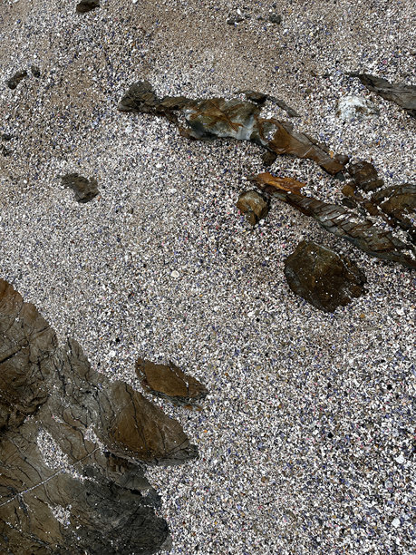一张俯视海滩的照片，突显了带有小贝壳和散落岩石的纹理沙子，非常适合设计和图案灵感。图片下载