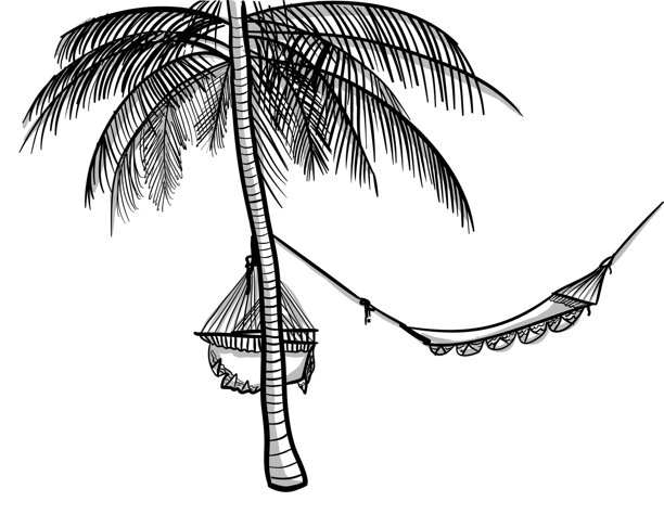 吊床和棕榈树图片下载