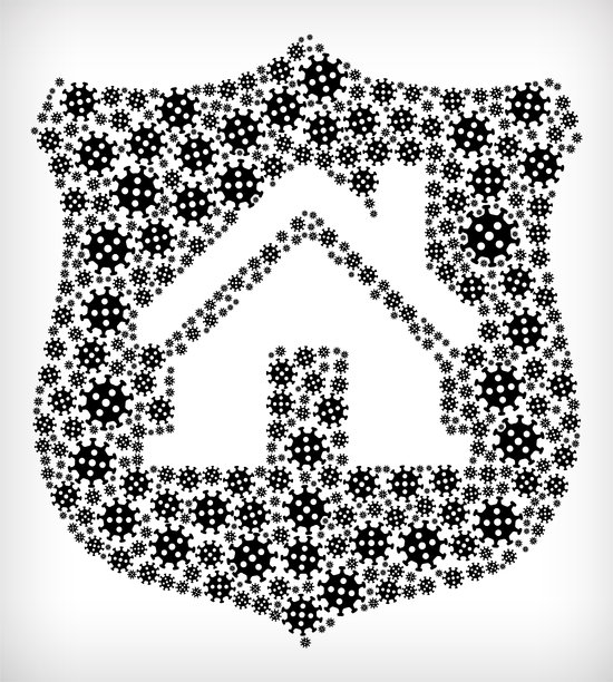 房屋和盾牌流感冠状病毒图标模式图片下载