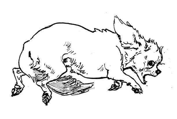 来自法国杂志的古董图片，宠物故事图片下载