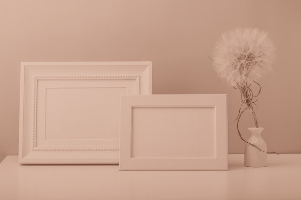空的相框和一个小白花瓶，花瓶里插着一朵蒲公英，放在桌子上。极简风格的室内。色调柔和的图片。图片下载