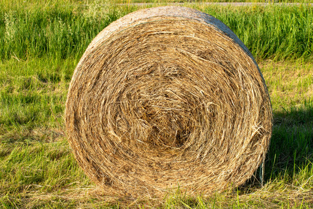 一张特写的黑白照片，展示了一个圆形的干草堆坐落在乡村田野中，细致地呈现了稻草和草的纹理。图片下载