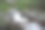 山间河流中的木桥，黑白照片图片下载