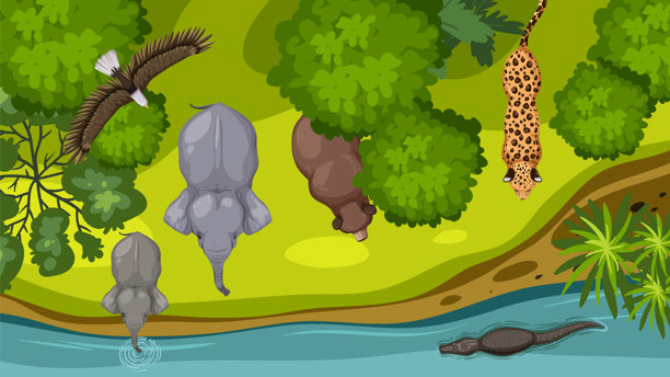 丛林中多样野生动物的俯视图图片下载