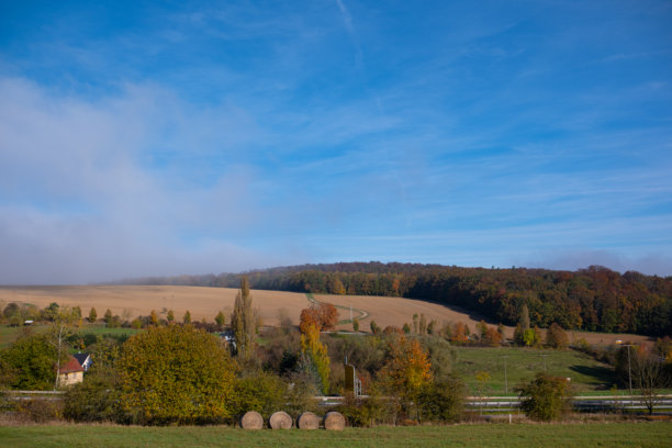 清晨美丽的德国田野照片。阳光明媚，圆形稻草 bale 躺在山坡上。背景是一片田野和森林。图片下载