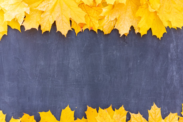 秋天的树叶框架，黑色背景俯视，秋季边框，黄色和橙色的叶子，复古风格的桌面，文本留白空间。图片下载
